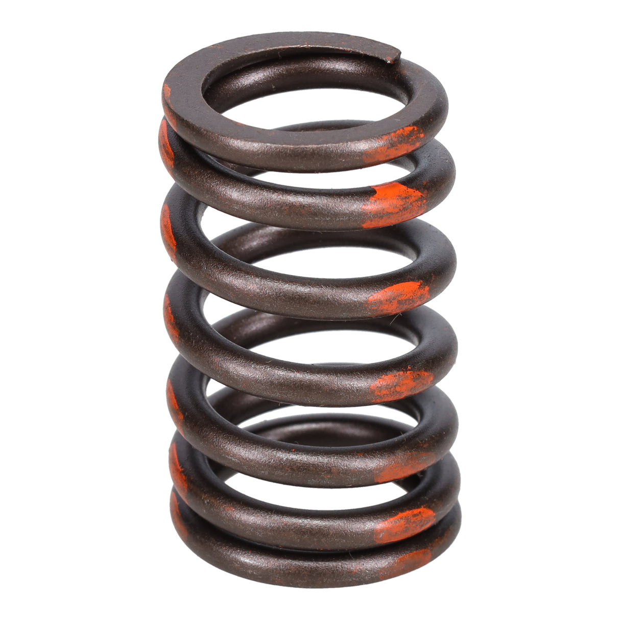 Valve Spring