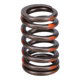 Valve Spring