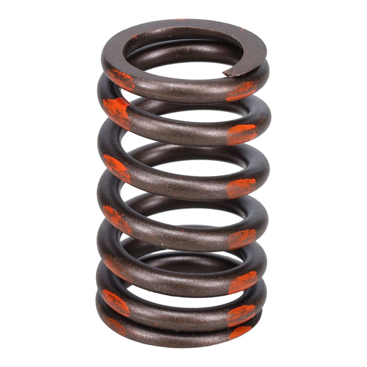 Valve Spring