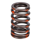 Valve Spring