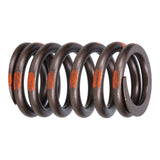 Valve Spring