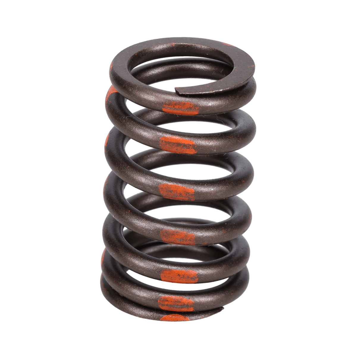 Valve Spring