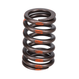 Valve Spring