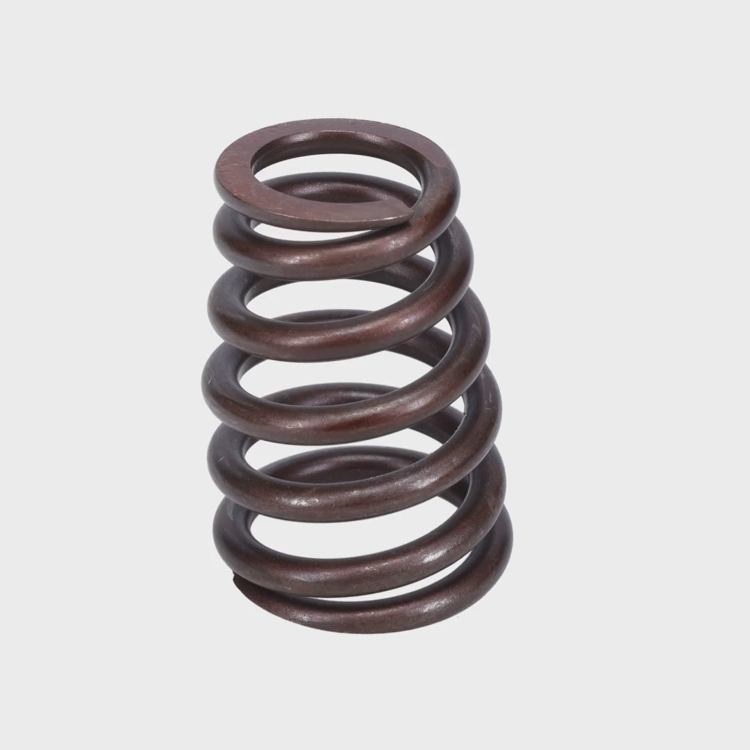 Valve Spring