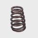 Valve Spring