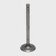 Intake Valve