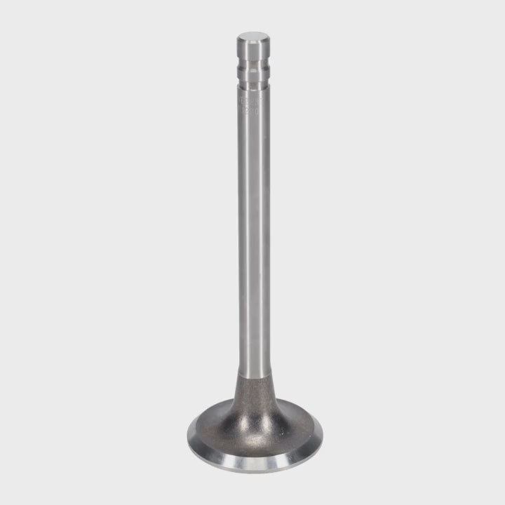 Exhaust Valve