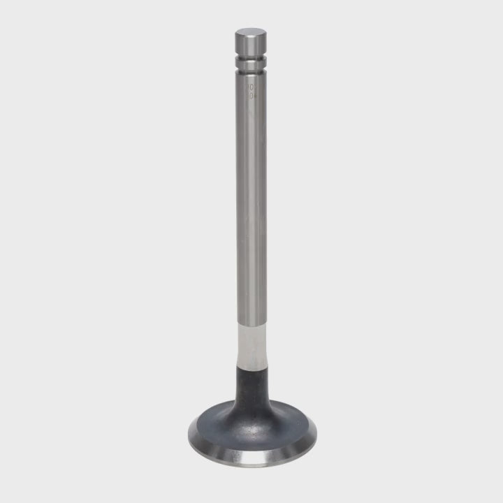 Exhaust Valve