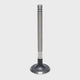 Exhaust Valve