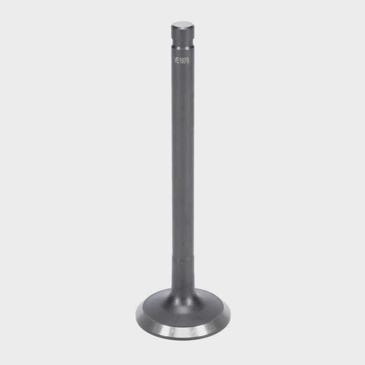 Intake & Exhaust Valve
