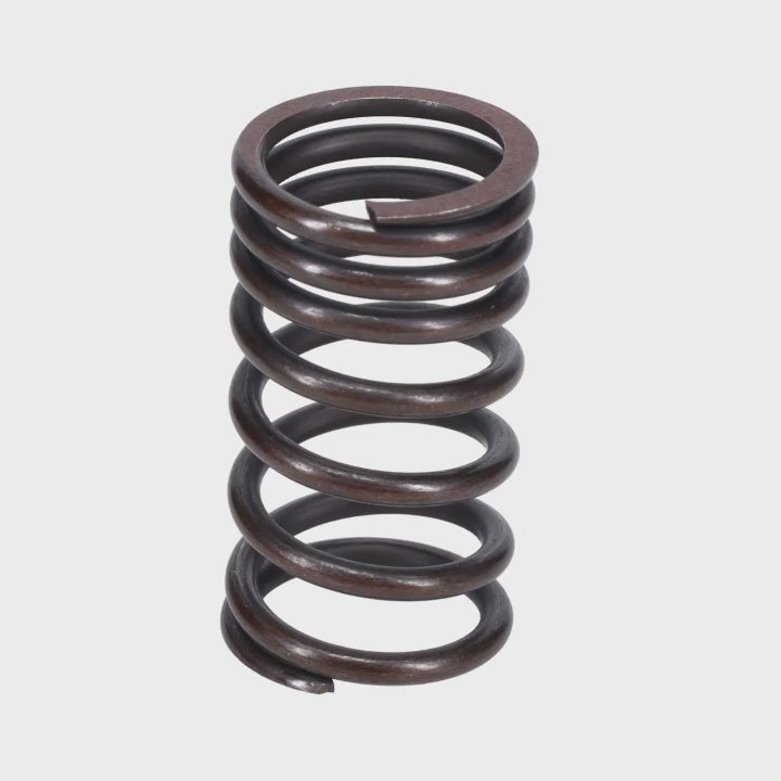 Valve Spring