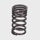 Valve Spring