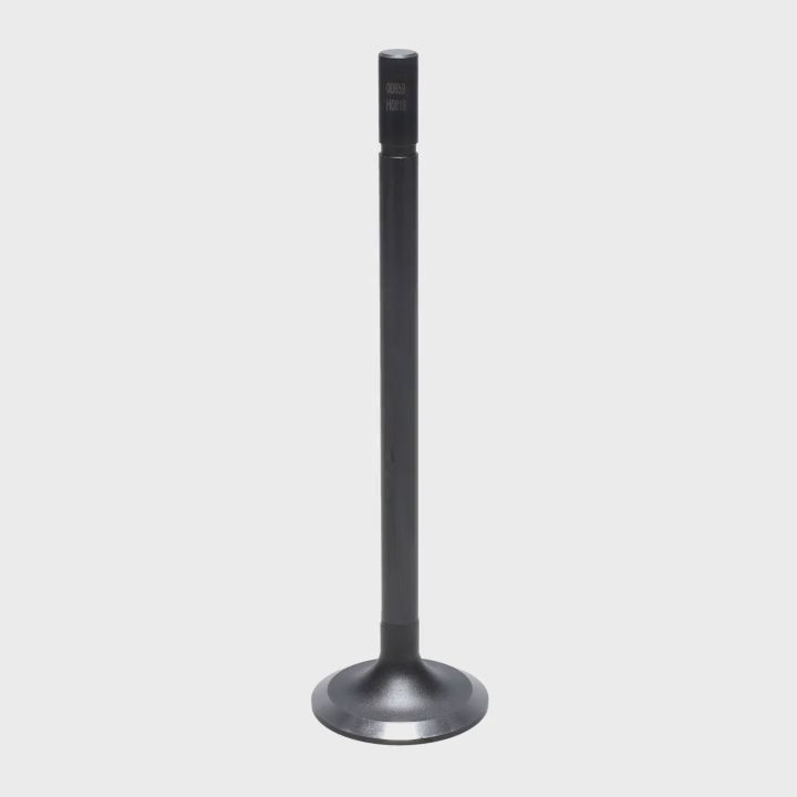 Intake Valve
