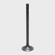 Intake Valve