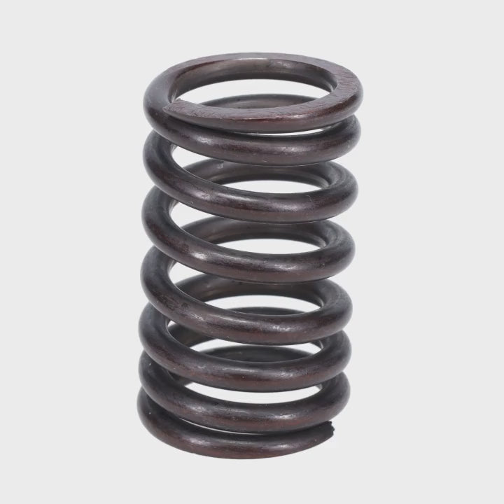 Valve Spring
