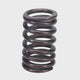 Valve Spring