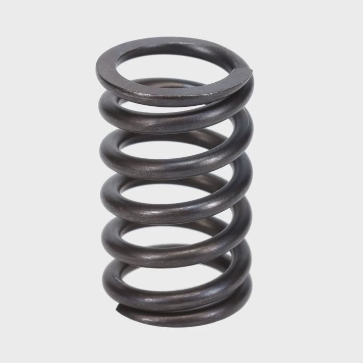 Valve Spring