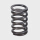Valve Spring