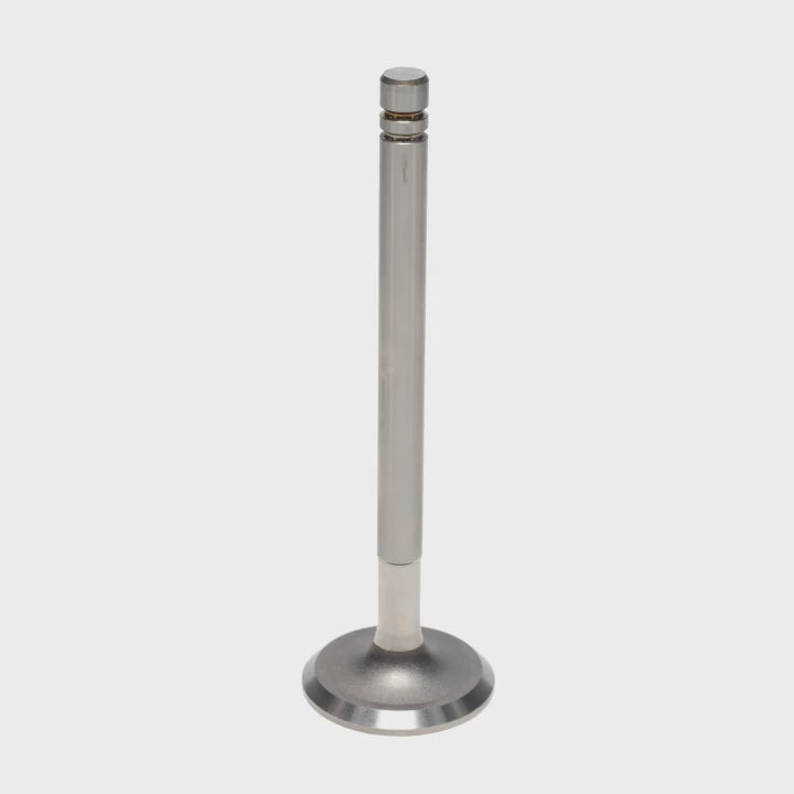 Intake & Exhaust Valve
