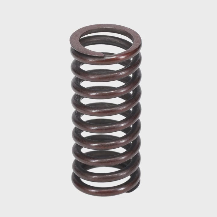 Valve Spring