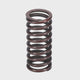Valve Spring