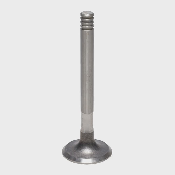 Exhaust Valve