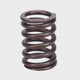 Valve Spring
