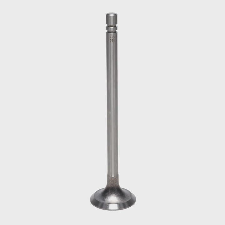 Exhaust Valve