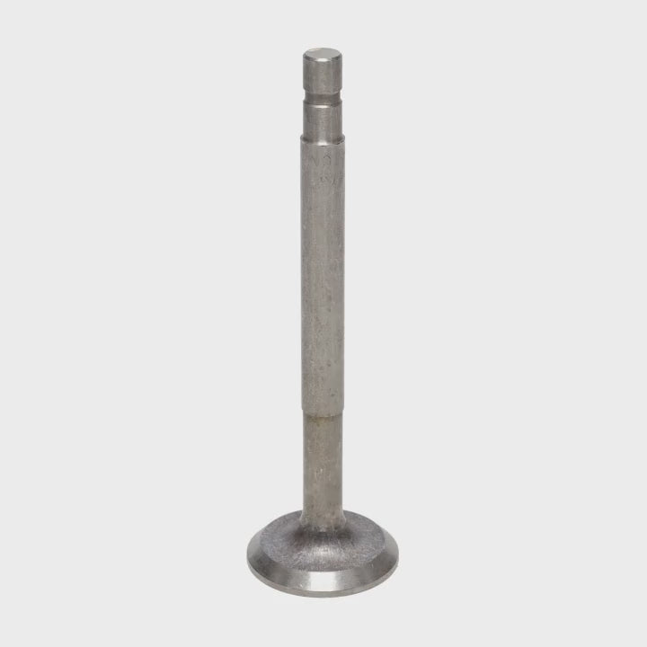 Exhaust Valve