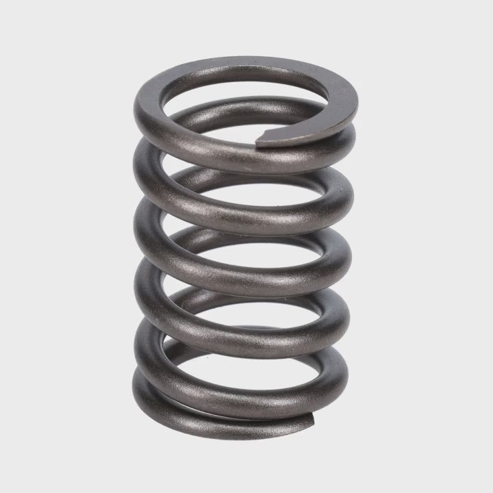 Valve Spring