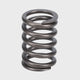 Valve Spring