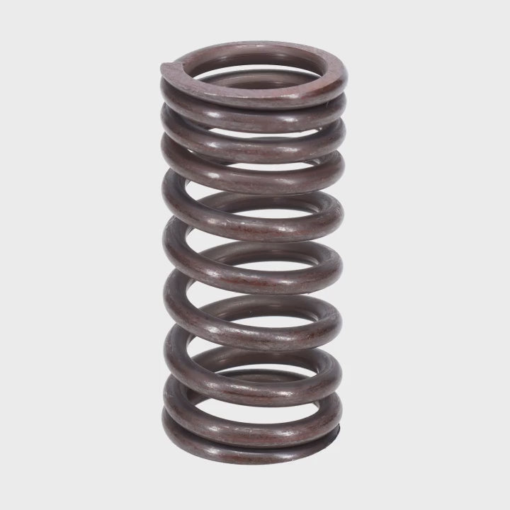 Valve Spring
