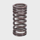 Valve Spring