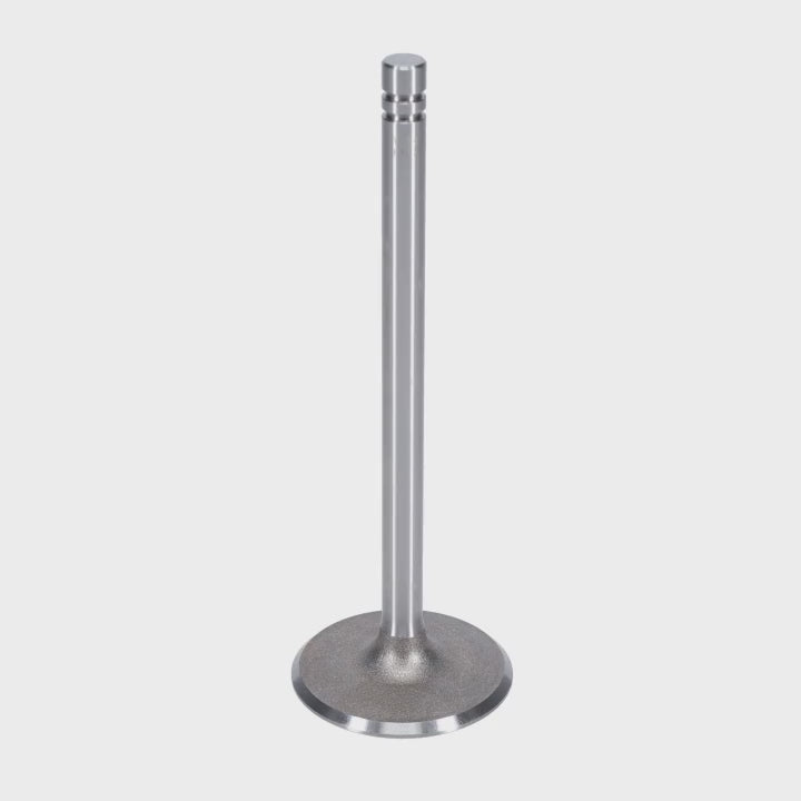 Intake Valve