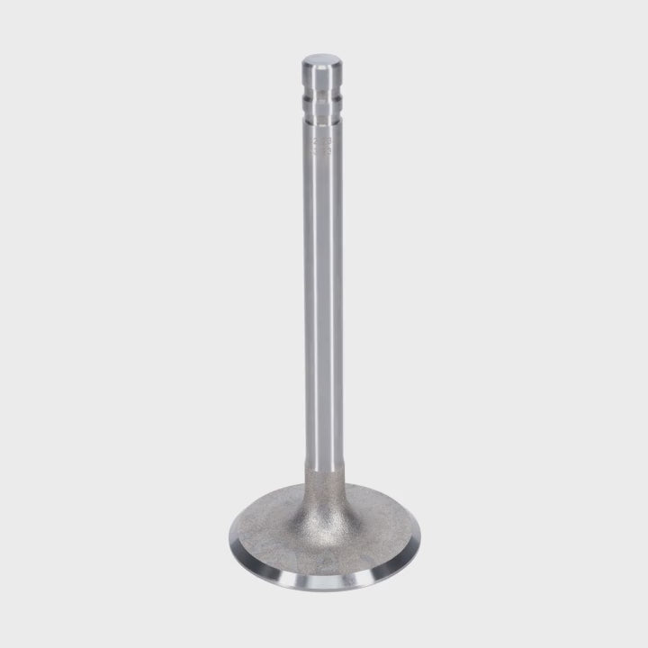 Intake Valve