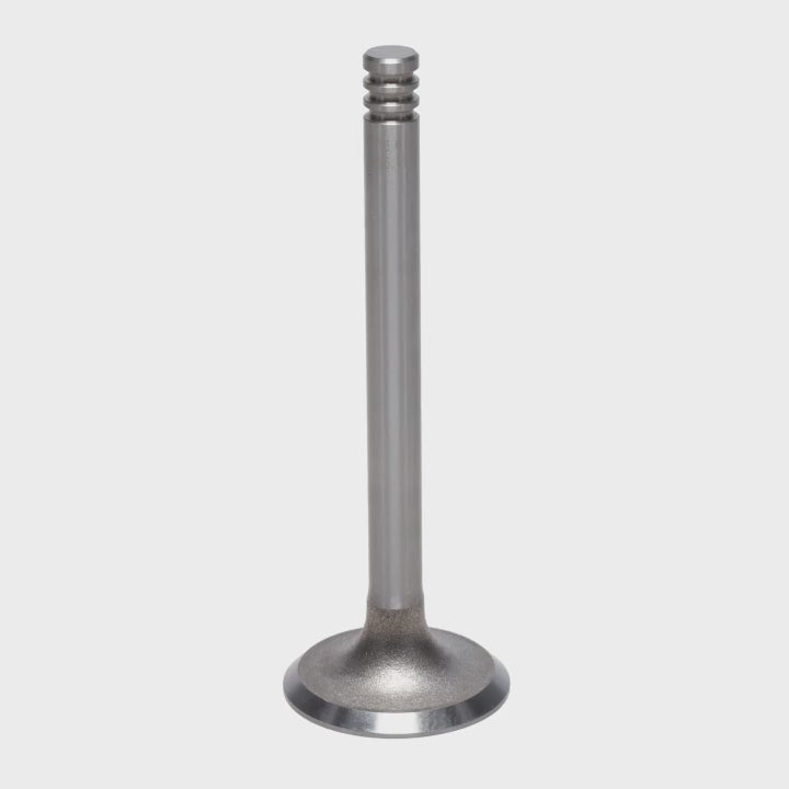 Exhaust Valve