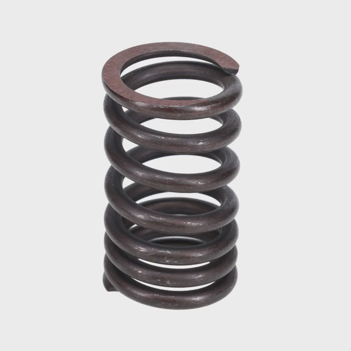 Valve Spring