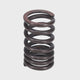 Valve Spring