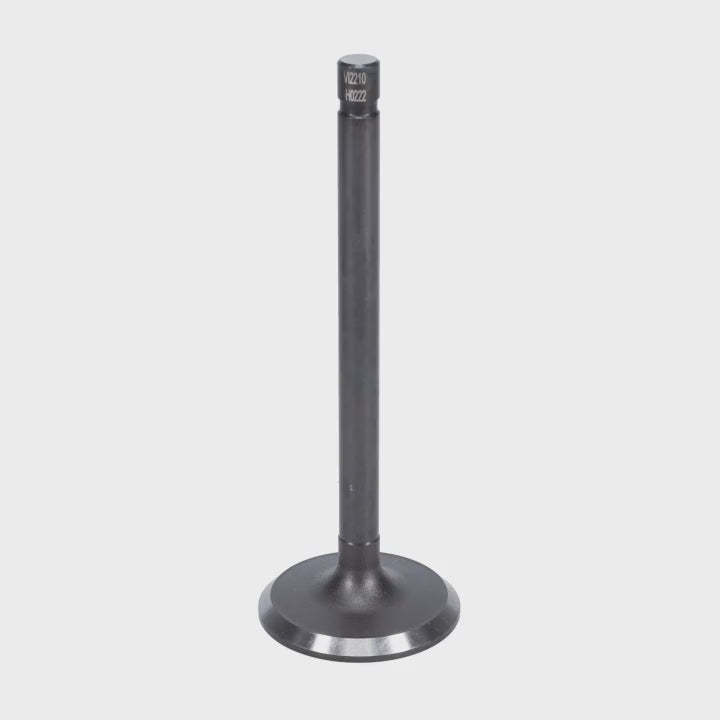 Intake Valve