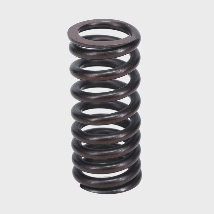 Valve Spring
