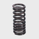 Valve Spring