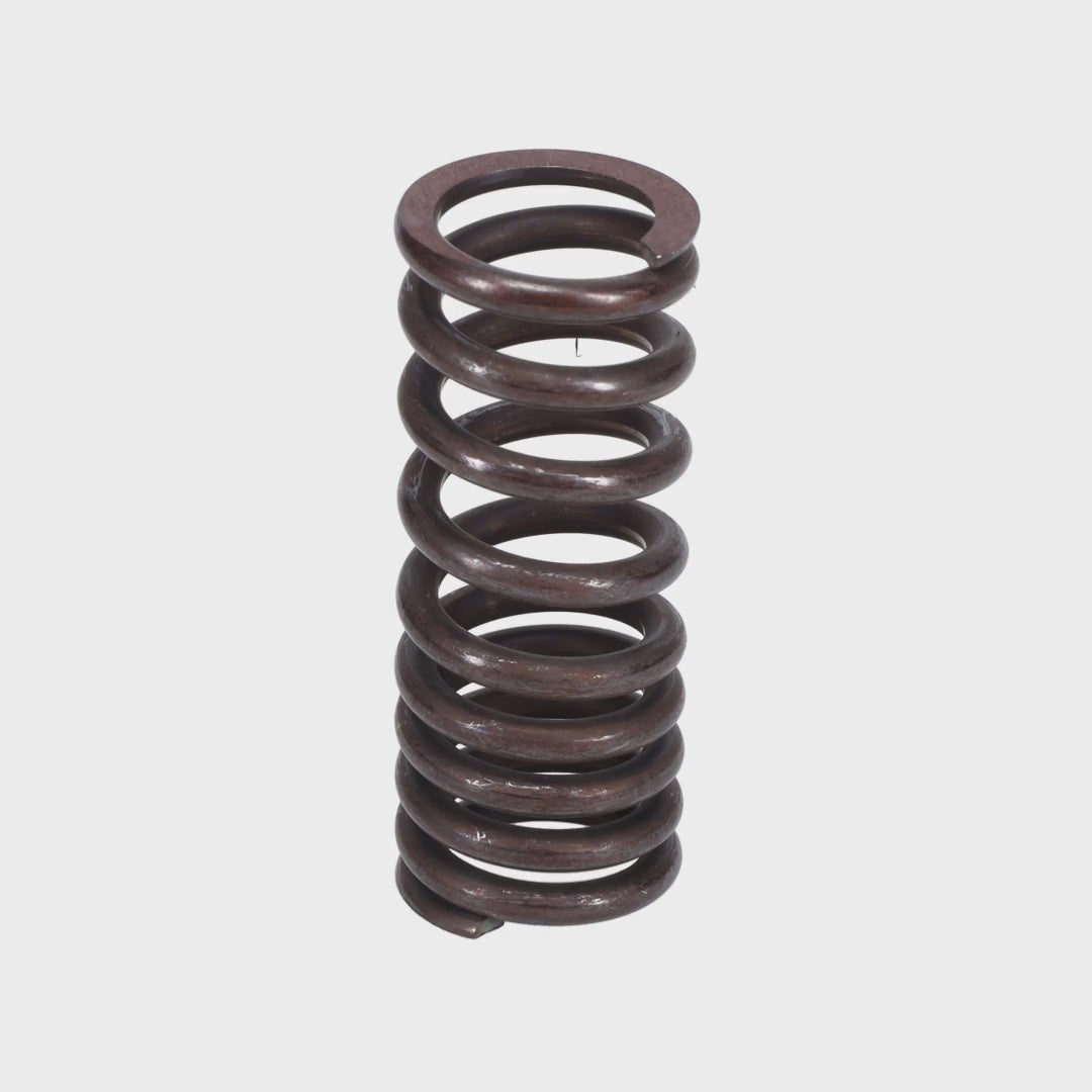 Valve Spring