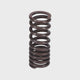 Valve Spring