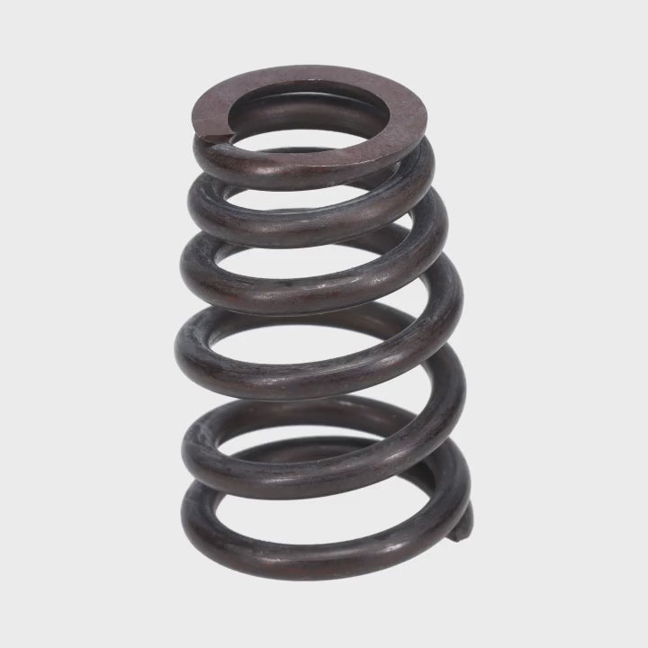 Valve Spring