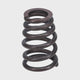 Valve Spring