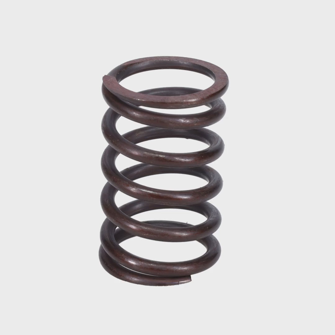 Valve Spring