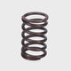 Valve Spring