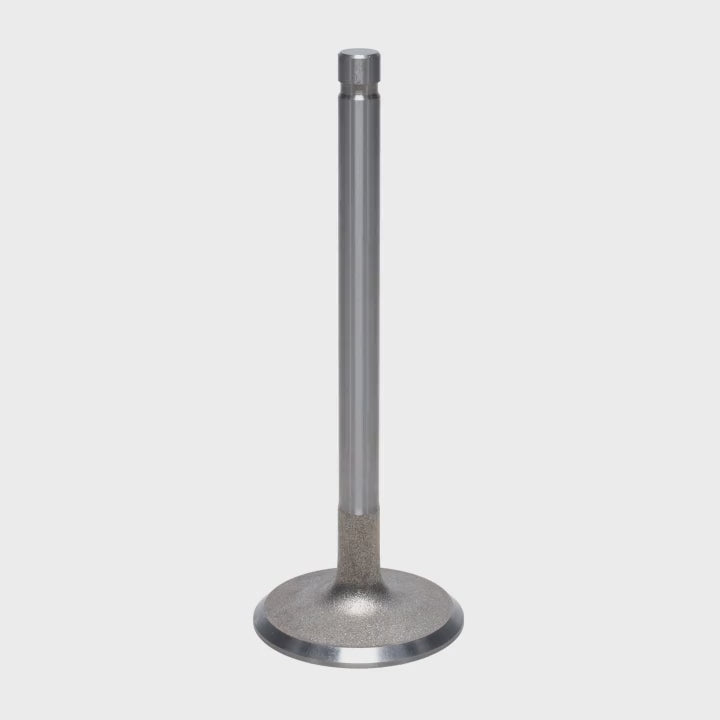 Intake Valve