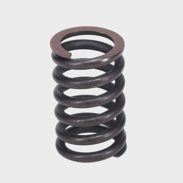 Valve Spring