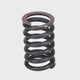 Valve Spring